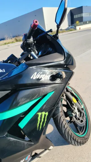 Kawasaki Ninja 250R 2011 A2