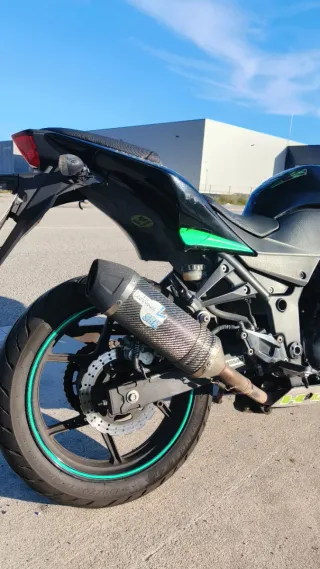 Kawasaki Ninja 250R 2011 A2