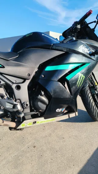 Kawasaki Ninja 250R 2011 A2