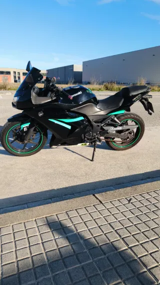 Kawasaki Ninja 250R 2011 A2