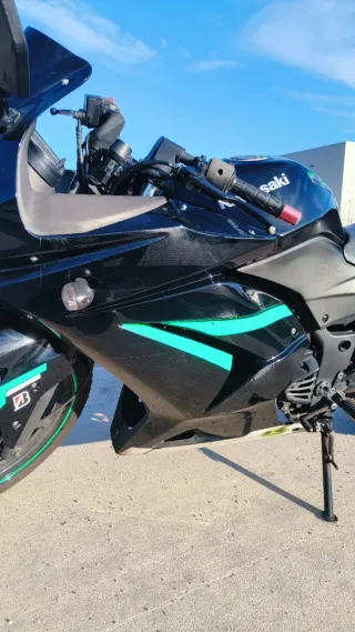 Kawasaki Ninja 250R 2011 A2