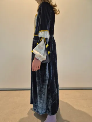 Disfraz medieval azul terciopelo