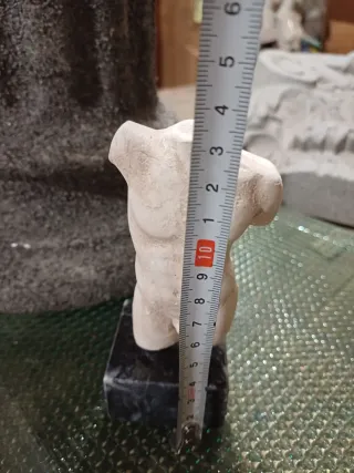 Figura Torso Masculino Desnudo