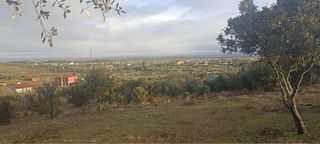 Finca rustica rostros de santa amalia badajoz