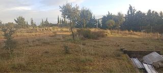 Finca rustica rostros de santa amalia badajoz