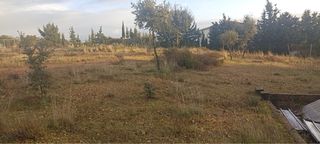 Finca rustica rostros de santa amalia badajoz