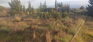 Finca rustica rostros de santa amalia badajoz