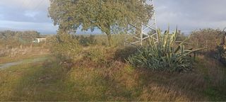 Finca rustica rostros de santa amalia badajoz