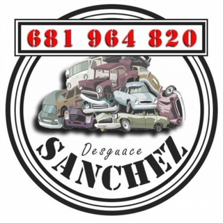 AMORTIGUADORES MALETERO / PORTON MERCEDES-BENZ CL