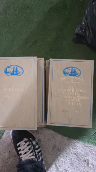 Lote de libros de escritores conocidos