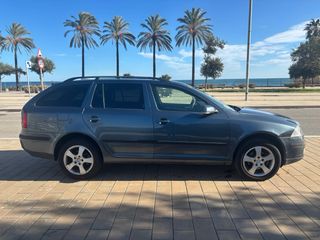 Skoda Octavia 2006 PEGATINA (B)