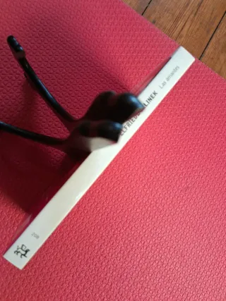 Valorado; 1ª ed.; original: Las amantes; El Aleph.