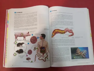 Proyecto: FanFest - Biología, Geología y Cienci...