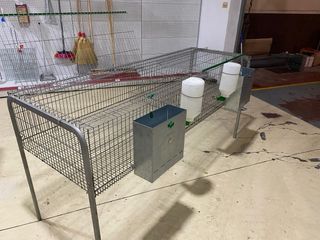 Jaula para conejos con bebederos