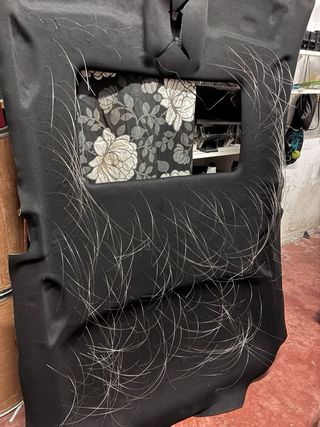 Techo tapizado y cielo estrellado