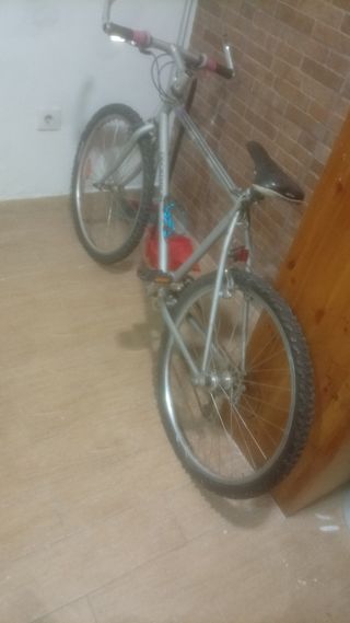 Bicicleta de montaña plateada