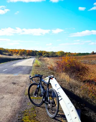 Bicicleta Colnago Concept Disc Talla 52
