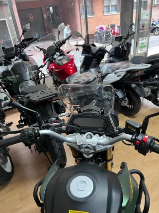 Cyclone RX1 PRO 2025