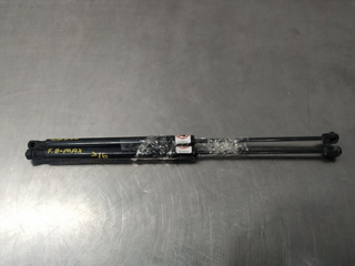 AMORTIGUADORES MALETERO / PORTON FORD B-MAX (CB2)