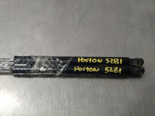 AMORTIGUADORES MALETERO / PORTON FORD B-MAX (CB2)