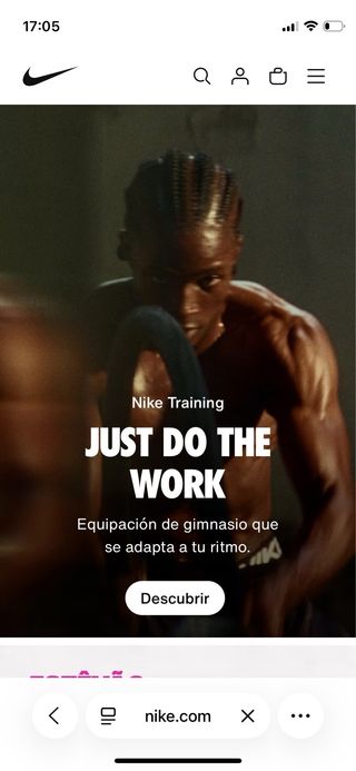 Nike Air Jordan Low OG Marrón y Negro