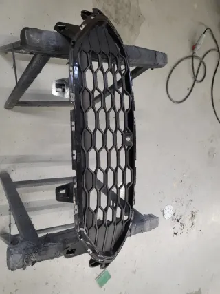 Rejilla delantera para Ford