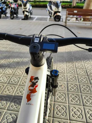 BH ILYNX + SL CARBON 23KG