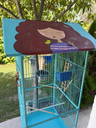 Jaula para pájaros tropicales