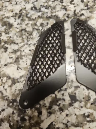 Protector Parrilla Radiador B&MW F 800 GS