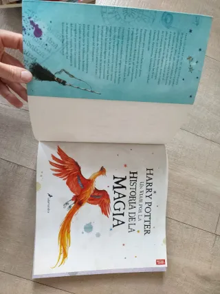 Harry Potter: Un viaje por la historia de la ma...