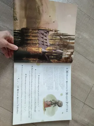 Harry Potter: Un viaje por la historia de la ma...