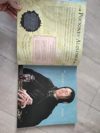 Harry Potter: Un viaje por la historia de la ma...