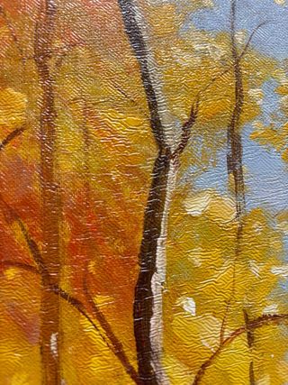 Cuadro al Óleo 52x42