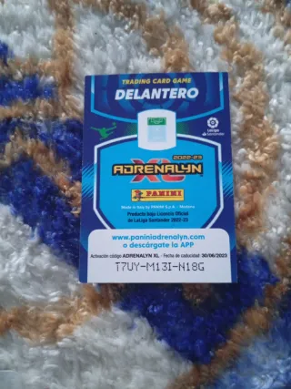 Carta Nico Williams Momentum 2022-2023