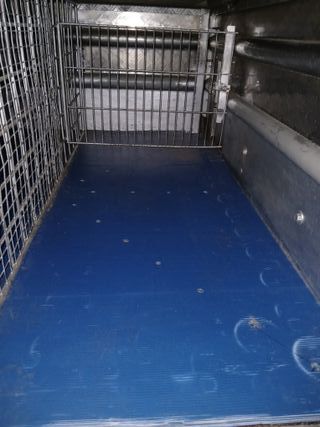 Remolque transporte animales vivos