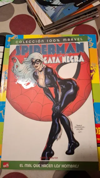 Spiderman Gata Negra Mal Que Hacen Los Hombre P...