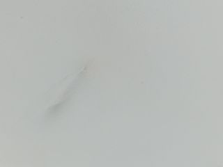 PARASOL DERECHO OPEL CORSA D (2)