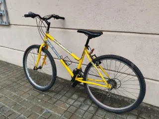 Bicicleta