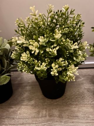 3 Plantas Artificiales Ikea