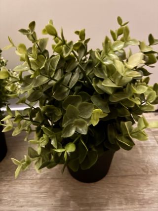 3 Plantas Artificiales Ikea