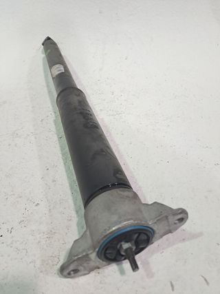 AMORTIGUADOR TRASERO DERECHO FORD FOCUS (4)