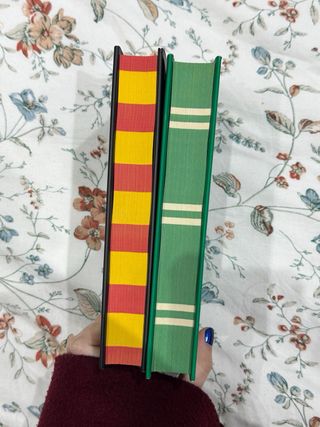 Harry Potter and The Philosopher's Stone - Gryf...