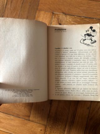 Fumetto Gli anni ruggenti di Topolino 1969