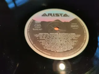 Lote 5 Vinilos Rock: 38 Special, Ted Nugent, Molly