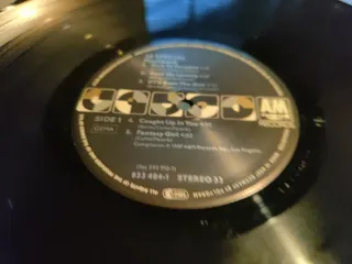 Lote 5 Vinilos Rock: 38 Special, Ted Nugent, Molly