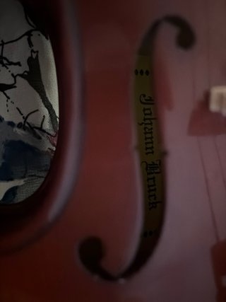 Violín con funda y un afinador de pinza cromático.