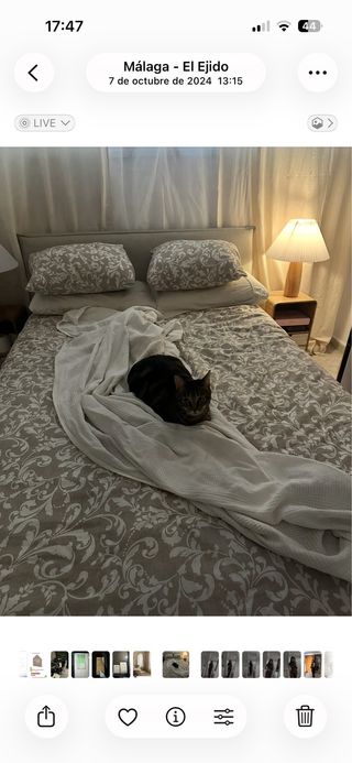 Cama canapé abatible Lorea Sklum 135 x 200 cm