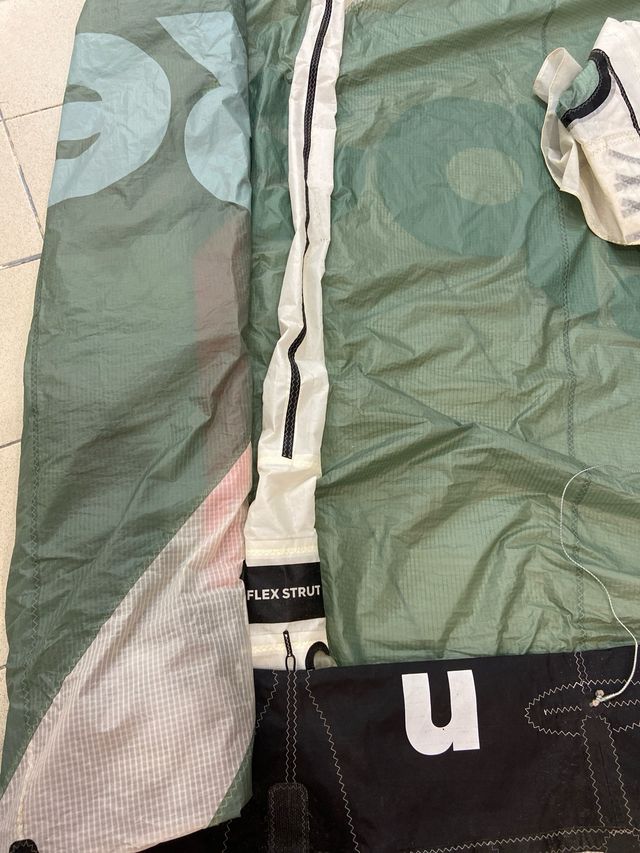 Reedin Supermodel HTF 12m 2023