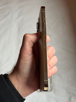 iPhone 13 Pro Max Dorado - 256GB - Muy buen estado