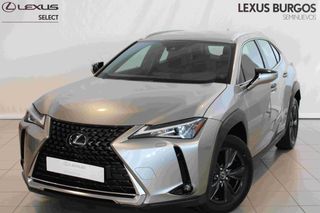 Lexus UX 250H BUSSINES 2WD